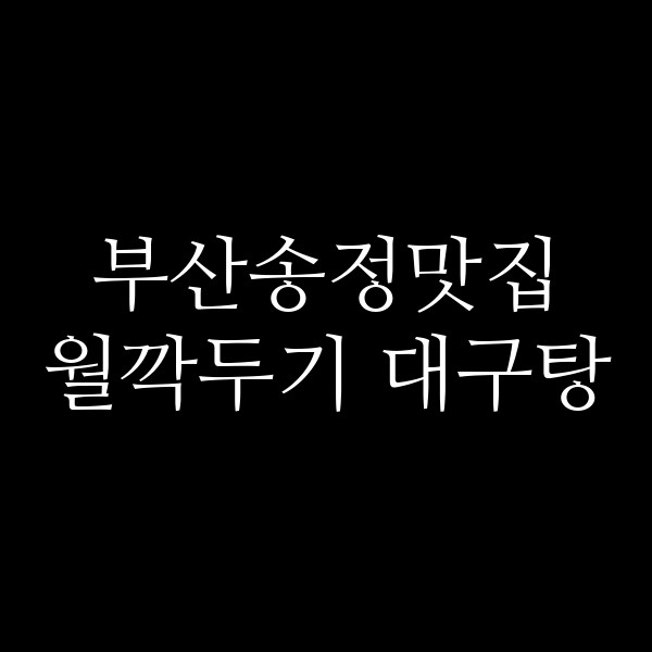 포스팅 썸네일 이미지